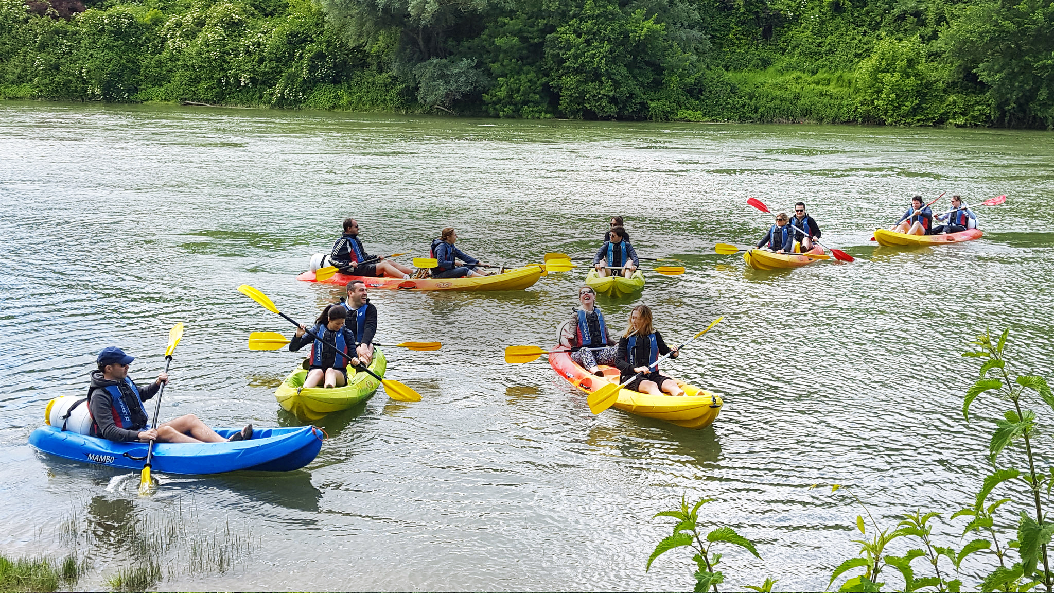 canoe31cover
